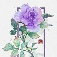 cân toàn bộ nhân vật
