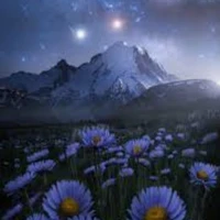 mọi người ( ai cần trừ thì trừ)