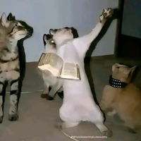 cân cả nam/nữ bí ẩn