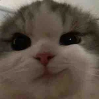 mẹ đẻ của bộ này 