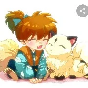 Shippo