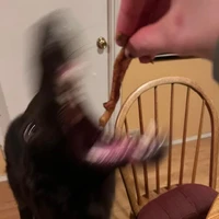 Q (a.k.a tác giả)