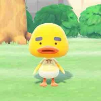 Tác giả Alice 😼🫶