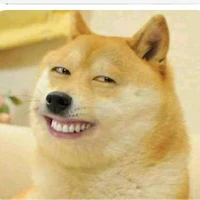 tổng hợp các loại chó =)