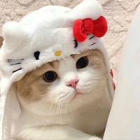 Mèo Thập Cẩm