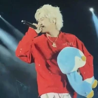 hoàng đức duy ( dạng mèo)