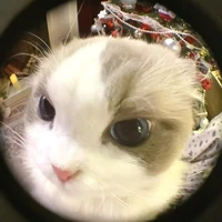 all trừ ai thì trừ