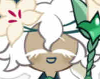 White lily 