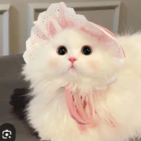 Sữa