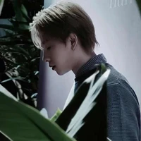 Trần Phong Hào (Nicky)