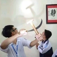 con T/g lười