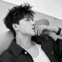 Nhiếp Phong