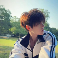 Nhiếp Phong