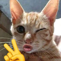 Tgiả tổng tài zô triii 😁