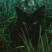 Nhân vật phụ 「Nam」