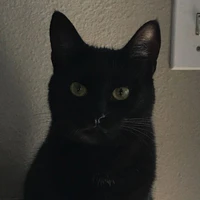 Nango