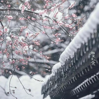 Bạch Triều Mộng Lý