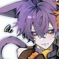 Catnap
