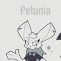 Petunia