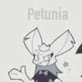 Petunia