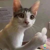 Đám bot✨️