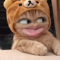 Tử Kỳ_tg