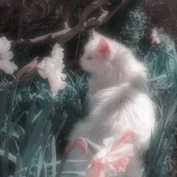 con nghiện mèo / tg kiêm luôn hệ thống