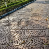 All(tự - đi)