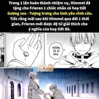 T/g bel