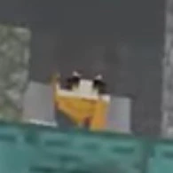 hiha?