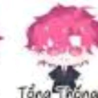 TT hiha