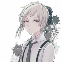 tôi là hổ kh phải mèo(atsushi)