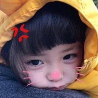 T/g mãii đuu YuanRui