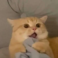 tác giả