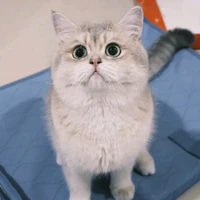phú quý