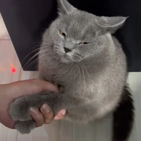 đàn em