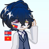 Vierea (N.K×Vietnam)