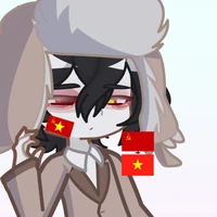 SovNam (USSR×Vietnam)