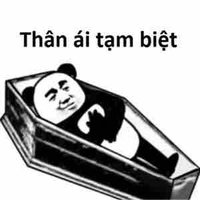 Cả hai