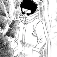Shino Aburame
