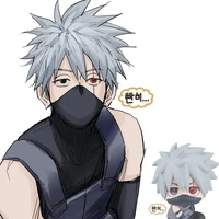 Hatake Kakashi 15t