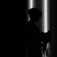 Dii𐙚( tác giả )