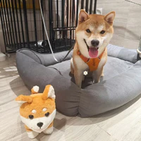 Tác giả cute😝😝😝