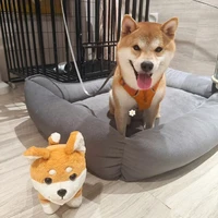 Tác giả cute😝😝😝