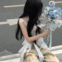 Vũ Minh Anh