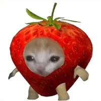chemchep