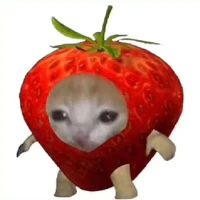 chemchep