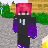 hiha enderman