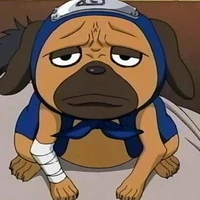 pakkun