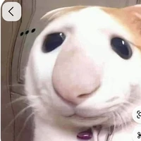 tg zô tri:)))